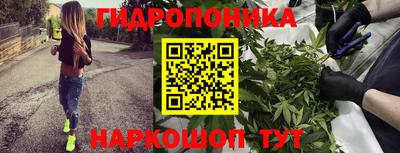 МДПВ Кунгур