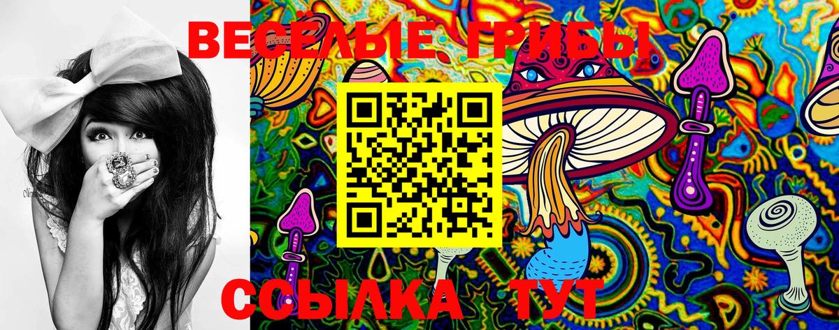 Галлюциногенные грибы мицелий  Вход с VPN  Елец  Псилоцибиновые грибы Cubensis 